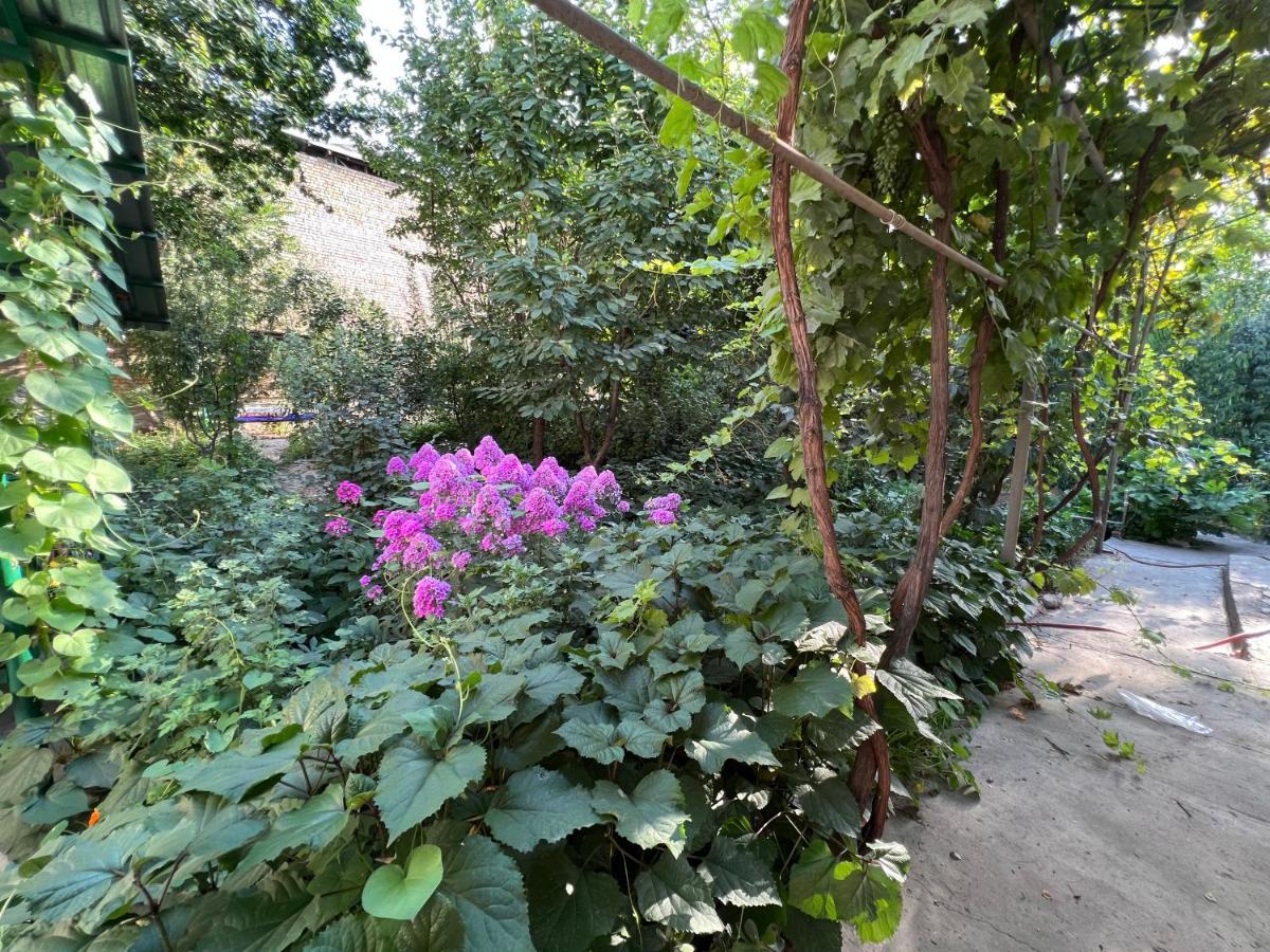 Lovely Home Osh Bagian luar foto